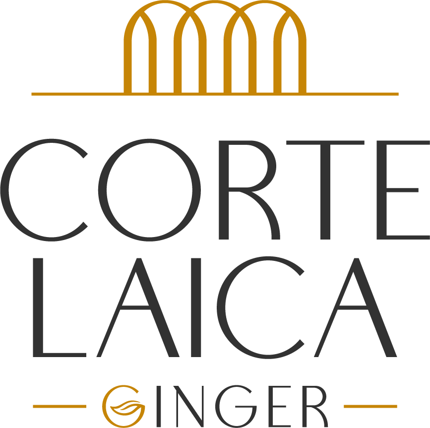 Ginger Corte Laica - Roma